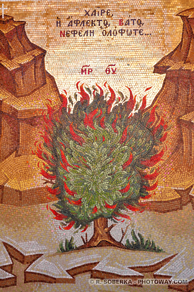 the burning bush