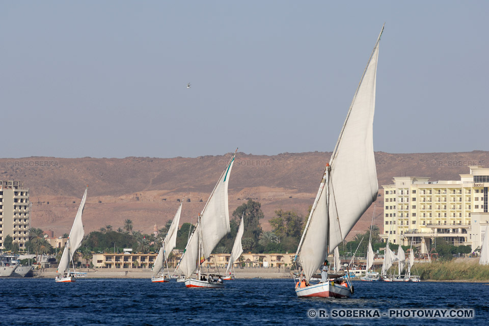 Feluccas on the Nile