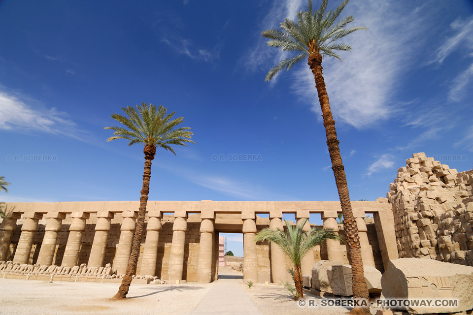 Amun temple columns