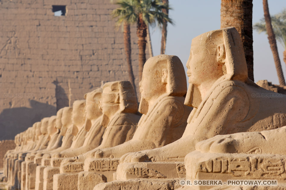 avenue of Sphinxes