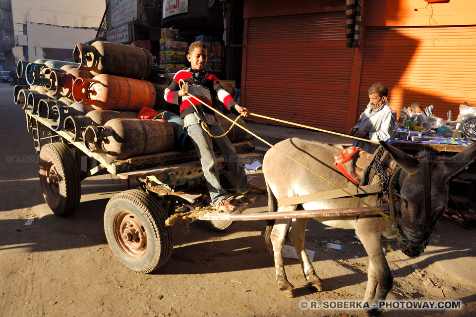 cart carrying butane bottles driven by a young boy