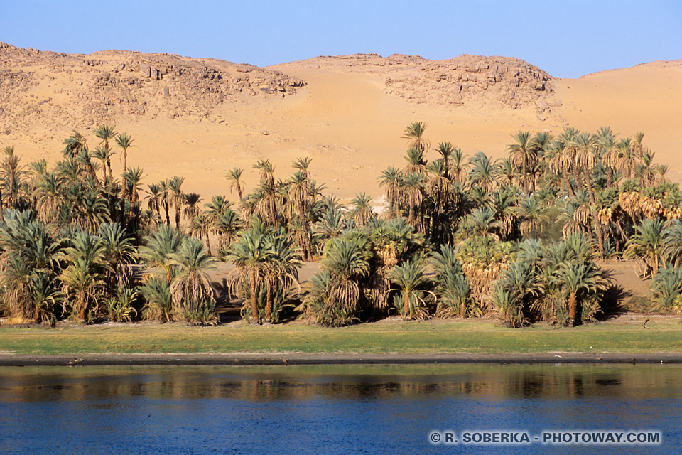 Dunes on Nile Bank in Egypt