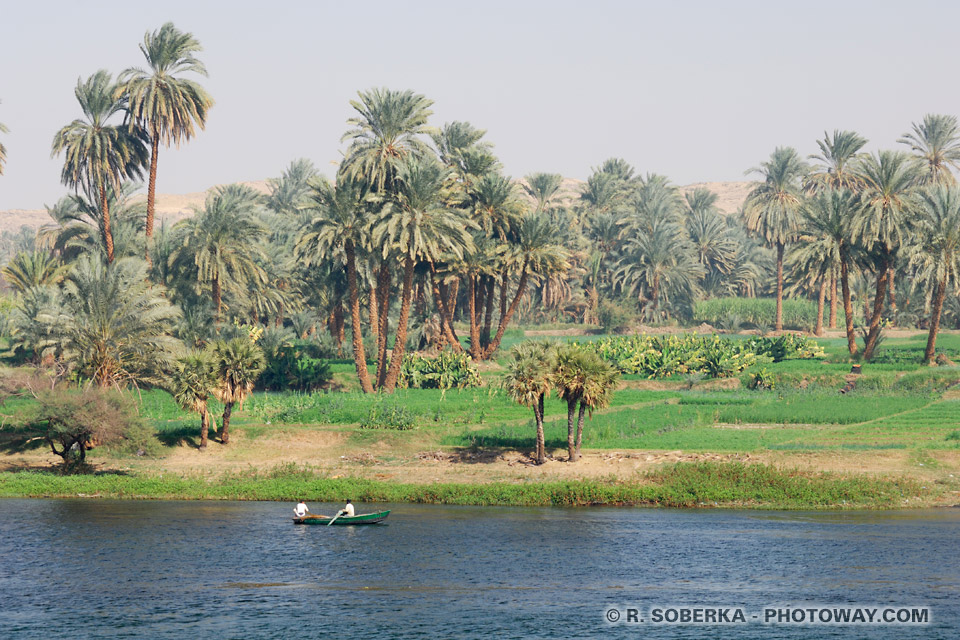 banks of the Nile