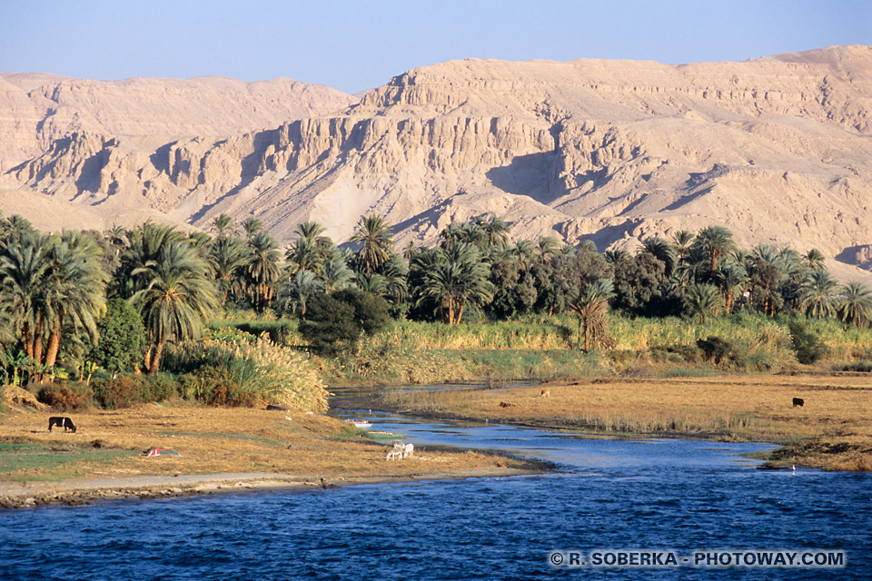 Nile tributary