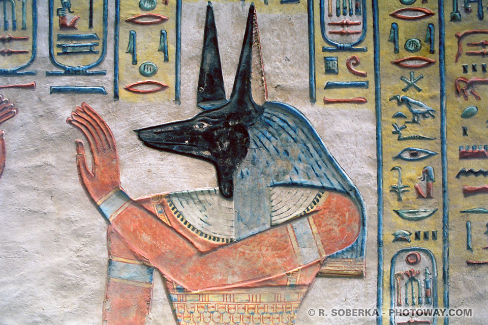 anubis