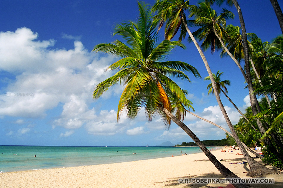 The most beautiful beach in Martinique