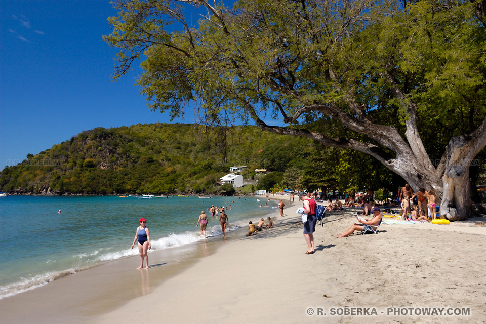 Anses d'Arlet Beach