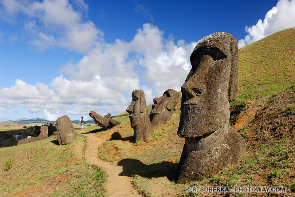 Easter Island Moai Statue