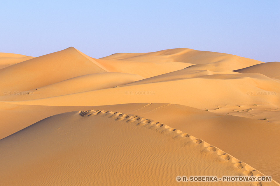 Footprints in the Desert