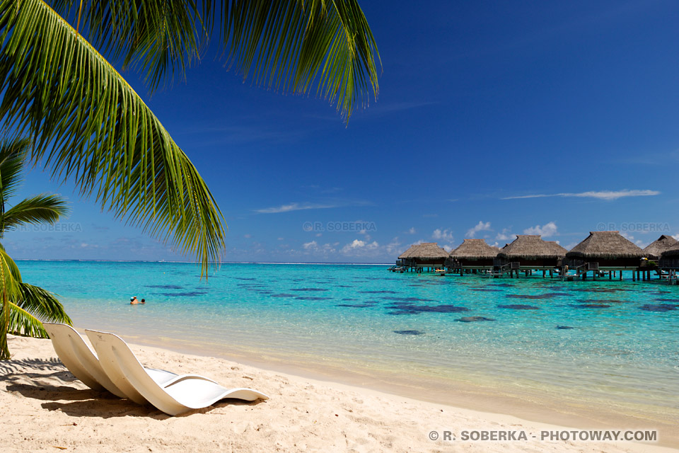 French Polynesia , Moorea Beach - Papetoai