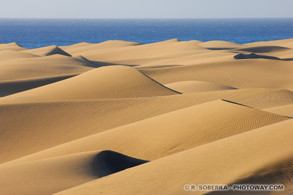 Maspalomas Dunes in the Canary Islands