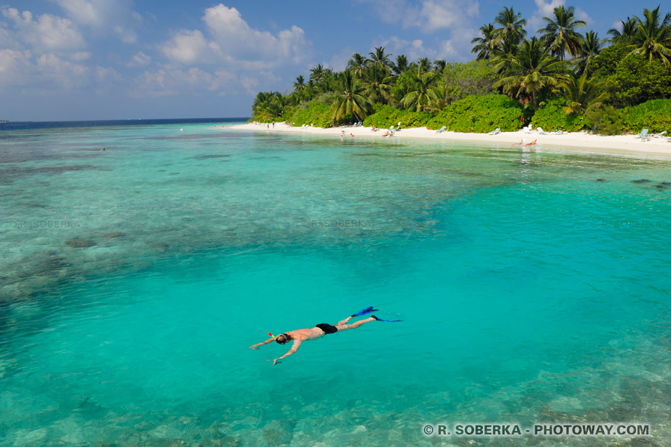 Snorkeling in the Maldives