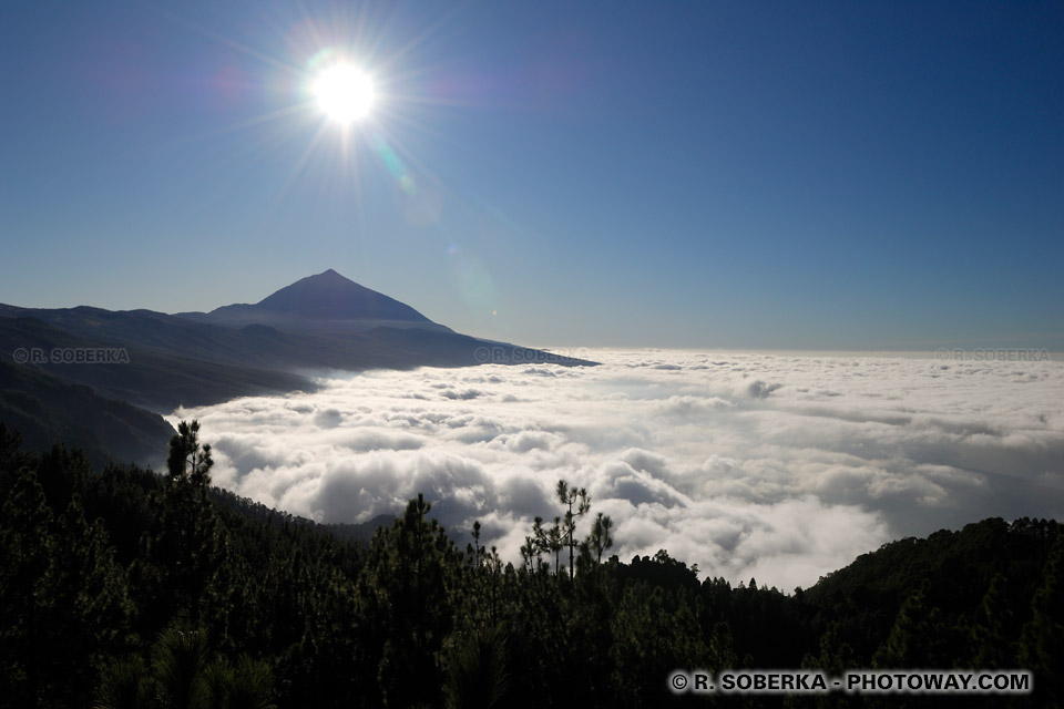 Sea of Clouds and Teide Volcano.