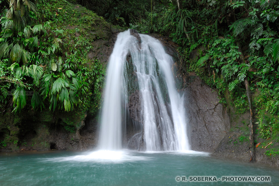 Crayfish Waterfall Guadeloupe