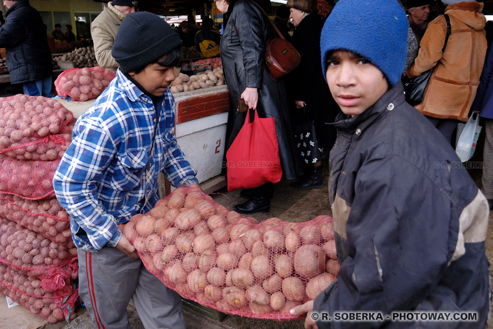 Child Labor in Romania - Photos of Children Working in Romania