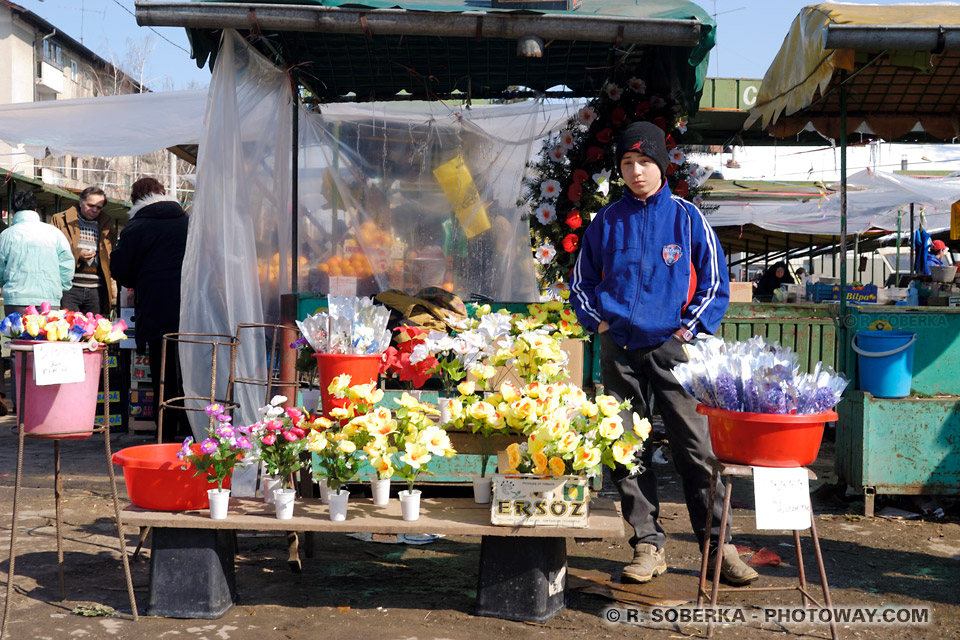 Florist photos, flower market images, Campina Romania