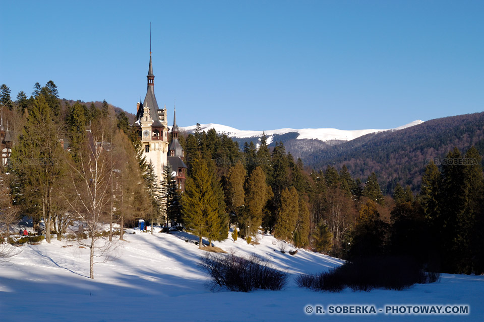 Peles Castle in a Natural Scenery - Romania