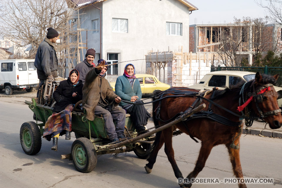 Romanian Roma: History and Culture of the Romani People in Romania