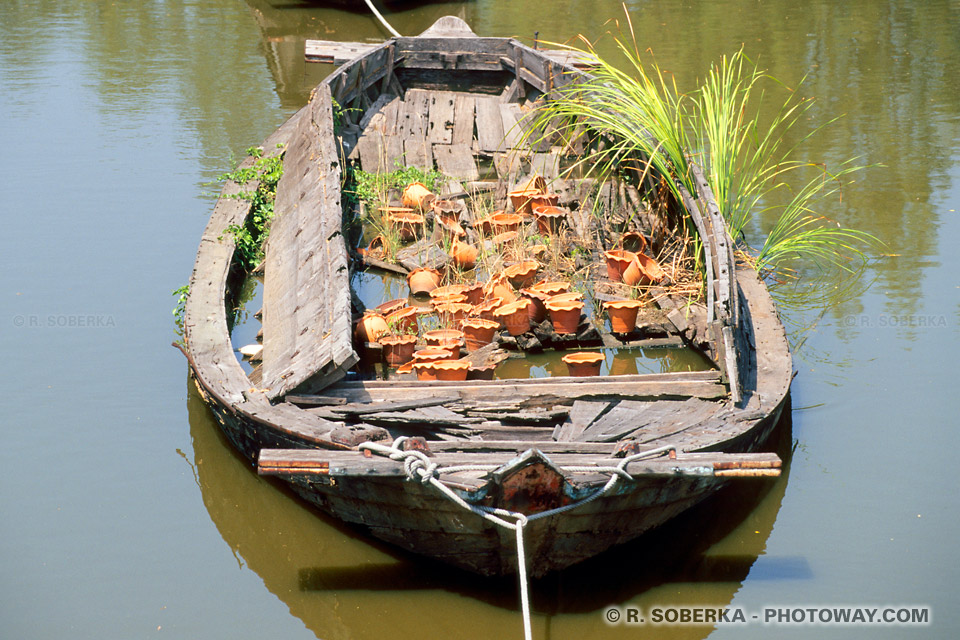 Images Photos Floating Markets - Photo of a Floating Market in Thailand