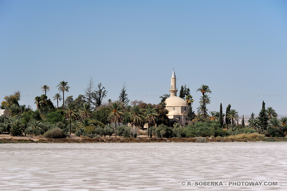 Oasis au bord du lac salé