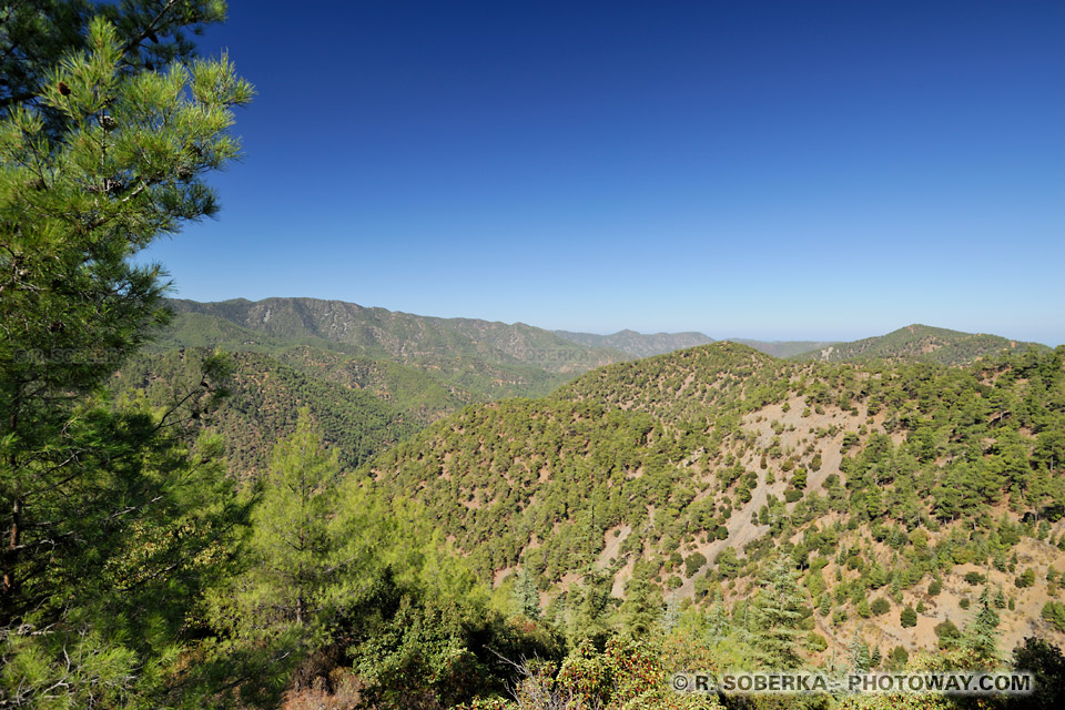 Troodos