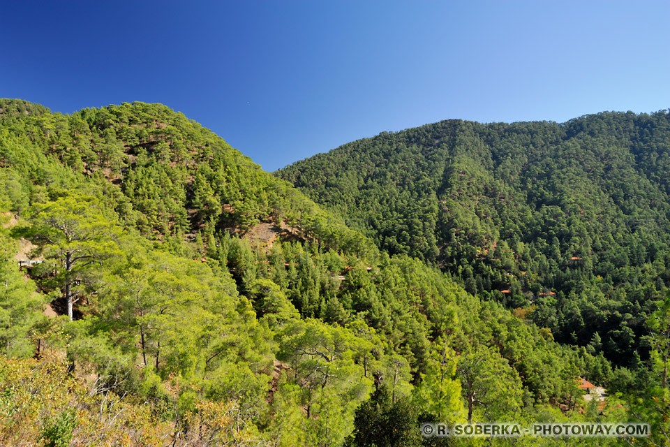 Vallée verte des Troodos