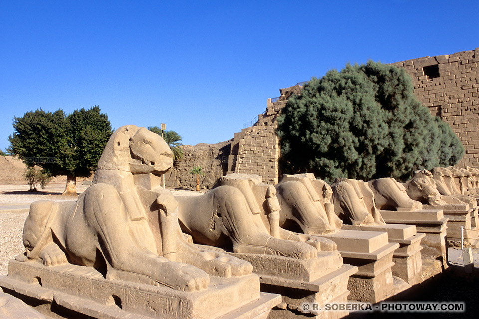 sphinx de Karnak