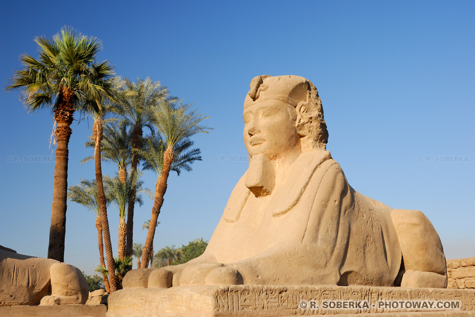 Sphinx Egypte 